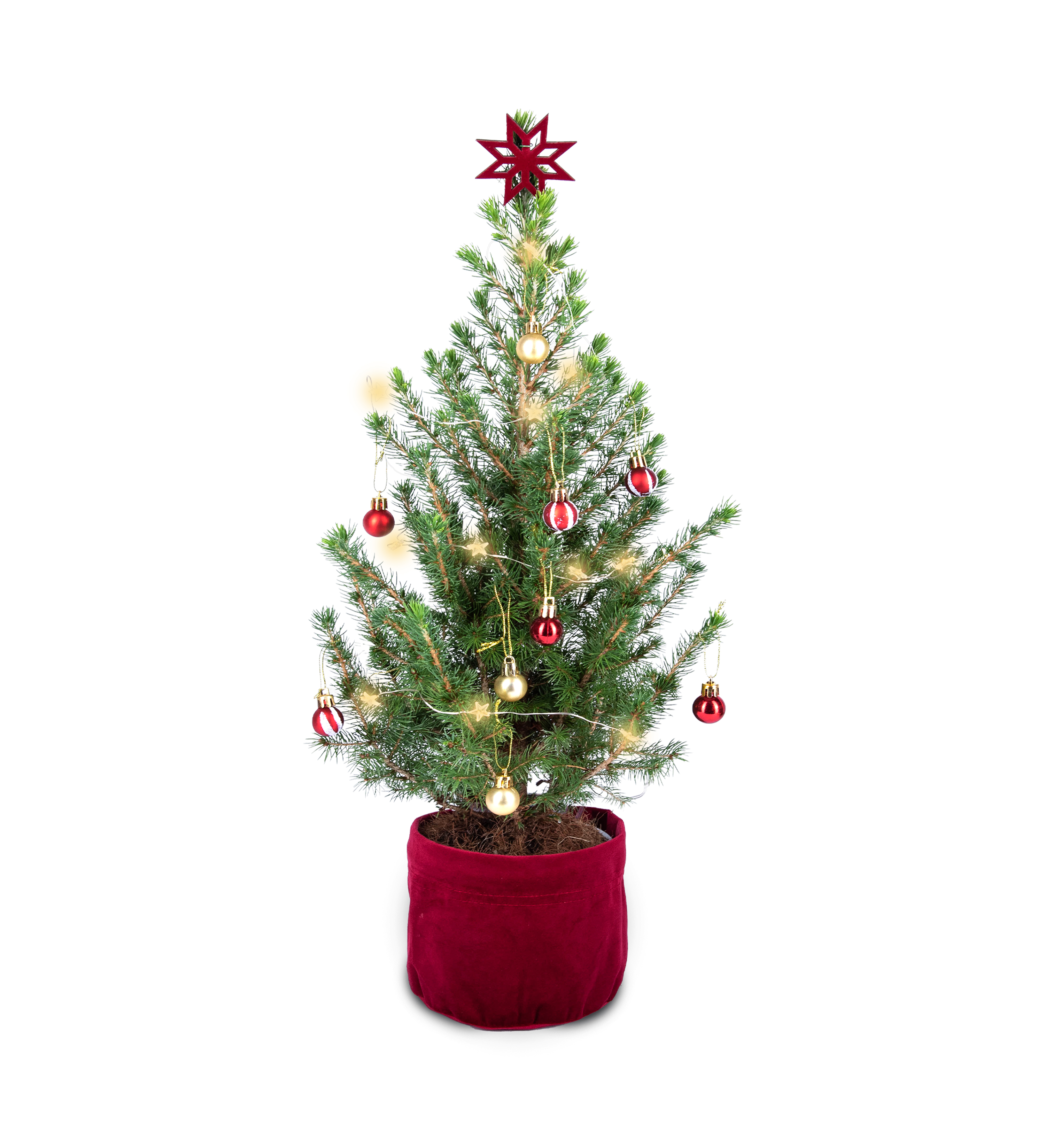 Letterbox Christmas Tree | 123 Hampers